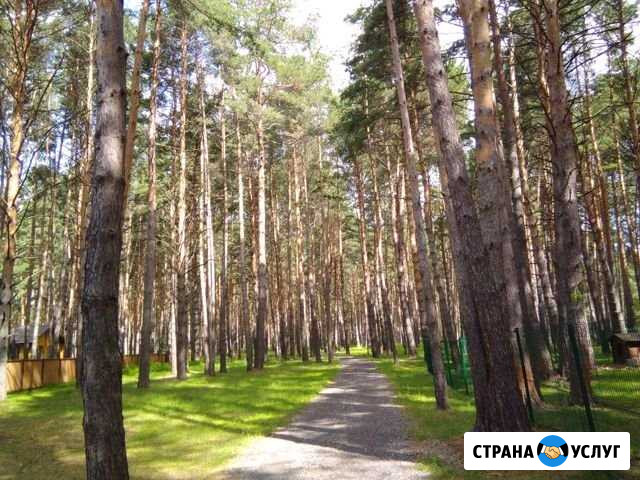 Няня для детей в праздничные дни Ленинградская - изображение 1
