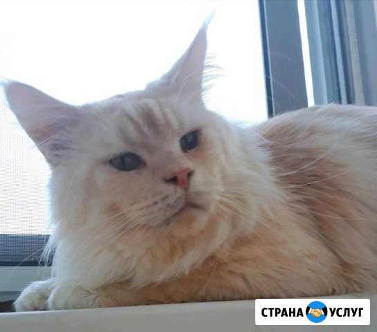 Вязка Москва - изображение 1