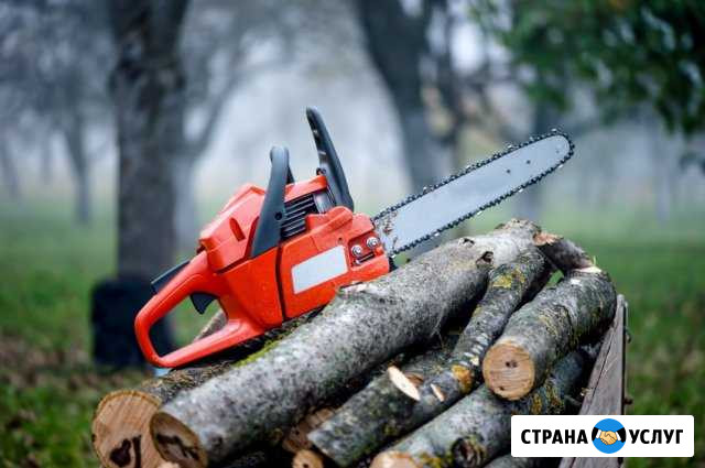 Спил деревьев (покос травы) Таганрог - изображение 1