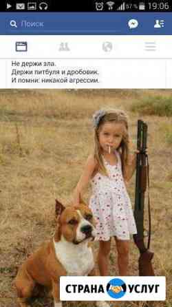 Выгуляю вашу собаку Красногорск