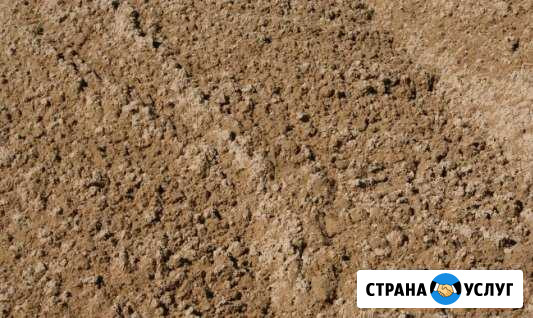 Приму грунт Приозерск Приозерск - изображение 1