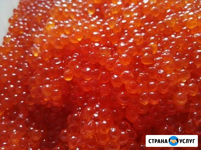 Продам заводскую икру Кеты Хабаровск - изображение 1