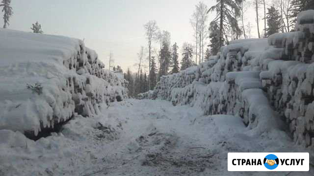 Лес Кругляк Сибирский Кедр, Сосна,Лиственница Талинка - изображение 1