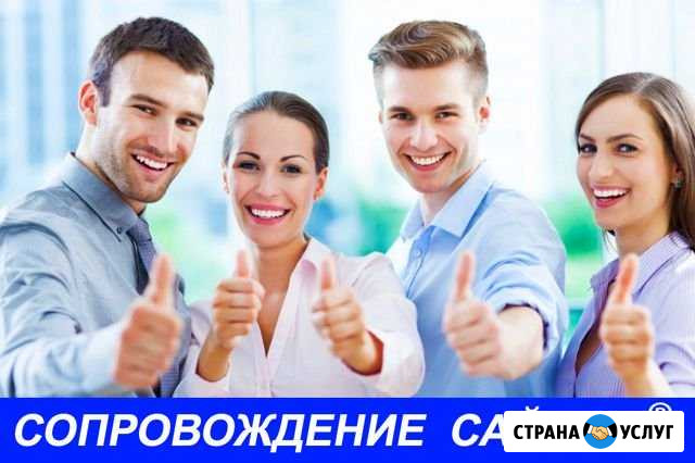 Поддержка сайтов Выселки - изображение 1