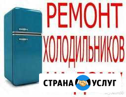 Ремонт холодильников на дому Ульяновск - изображение 1