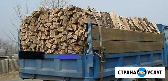 Дрова Великовечное - изображение 1