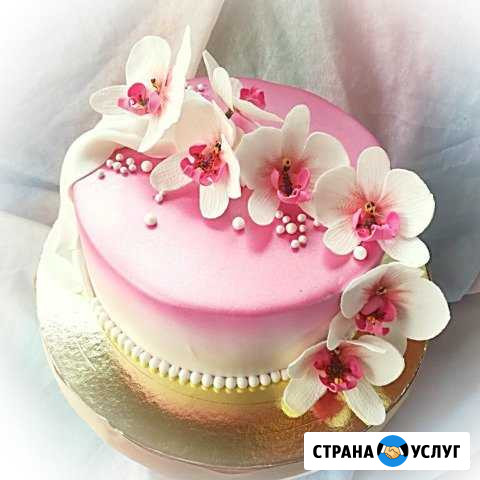 Торты и пряники на заказ Колпино - изображение 1