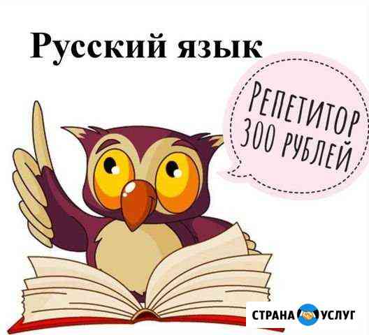 Репетитор по русскому языку для 3-8 классов Уфа