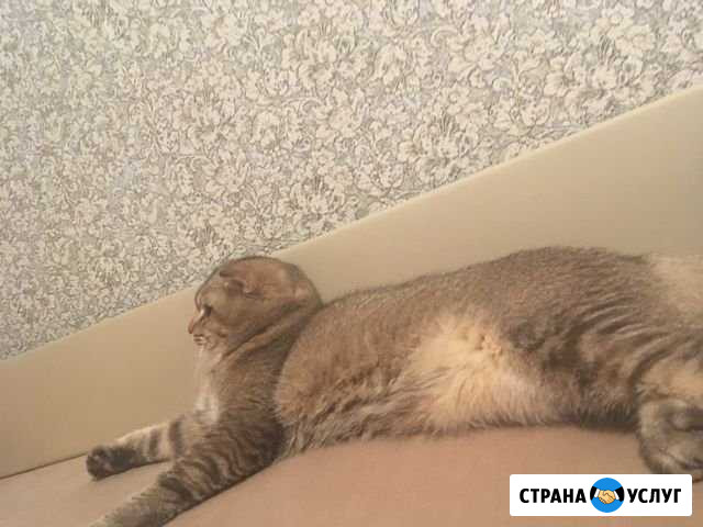 Вязка Рязань - изображение 1