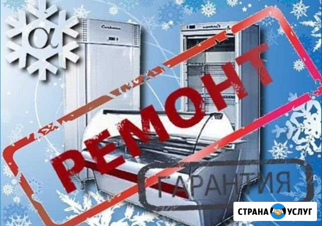 Ремонт холодильников Новосибирск - изображение 1