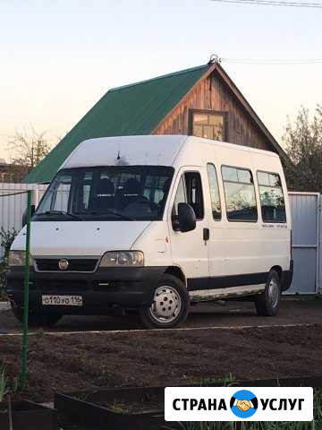 Заказные перевозки автобус 14 мест Набережные Челны - изображение 1