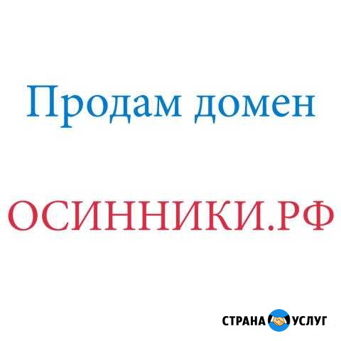 Продам домен Осинники.РФ Осинники - изображение 1