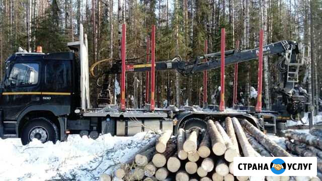 Перевозка леса, пиломатериалов, лесоматериалов Харовск - изображение 1