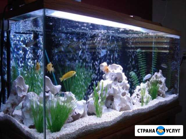 Почистить аквариум Оренбург - изображение 1