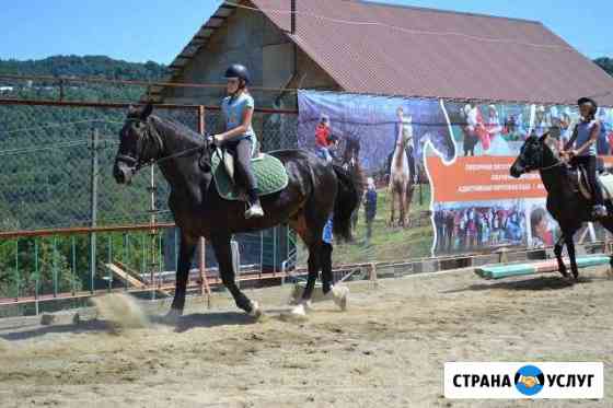 Обучение верховой ездой Сочи