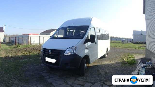 Пассажирские перевозки Новочеркасск - изображение 1