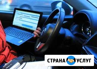 Выездная диагностика авто Лыткарино - изображение 1
