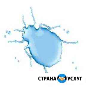 Уничтожение клопов, тараканов, блох, дезинcекция Мурманск