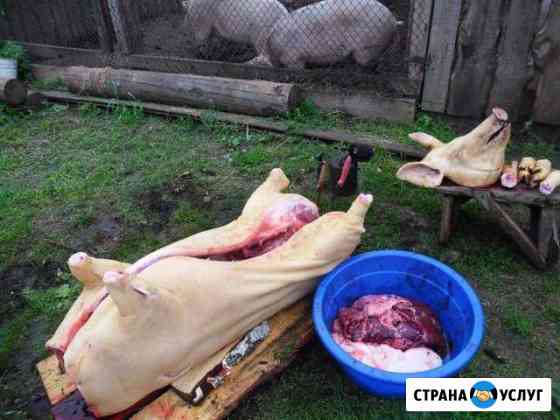 Свинина домашняя Наро-Фоминск