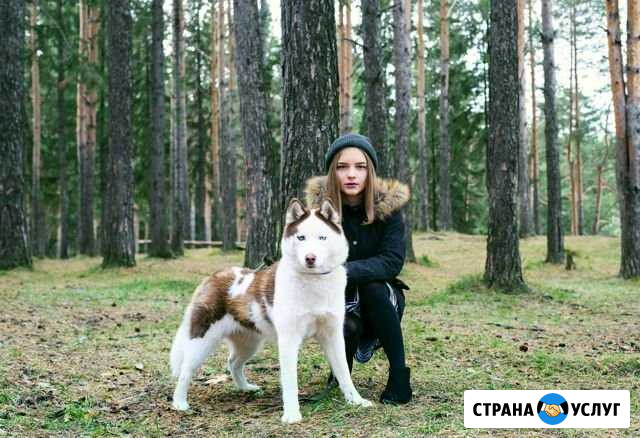 Фотограф Нижний Тагил - изображение 1