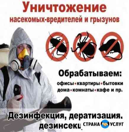 Дезинфекция,дезинсекция,дератизация Курск