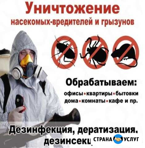 Дезинфекция,дезинсекция,дератизация Курск - изображение 1
