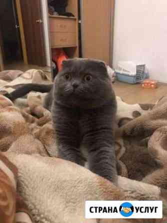 Вязка Санкт-Петербург