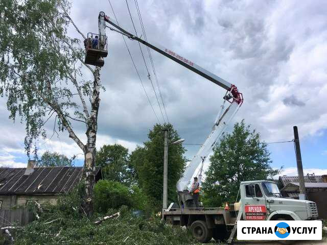 Аренда Автовышки. Спил деревьев. Вездеход 6х6 Боровичи - изображение 1