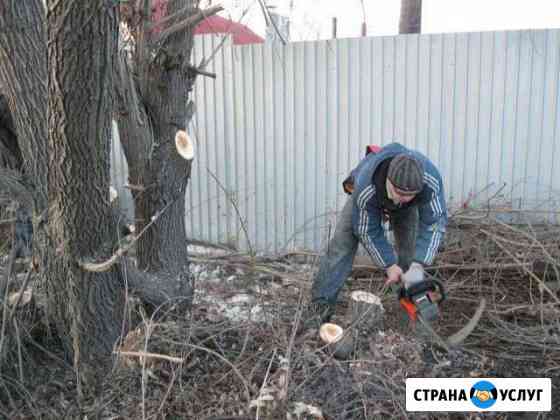 Спил деревьев Калач