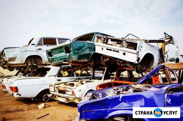 Утилизация всех авто Тольятти - изображение 1