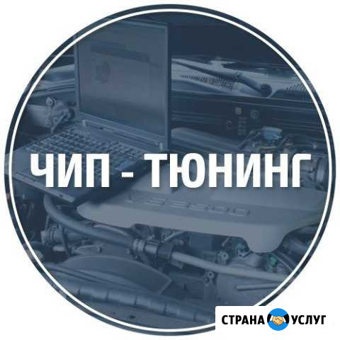 Чип-тюнинг (увеличение мощности двигателя) Ярославль - изображение 1