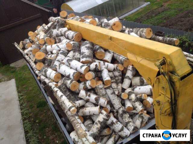 Дрова Людиново - изображение 1