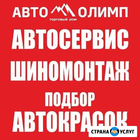 Автосервис,шиномонтаж,подбор красок Канаш - изображение 1