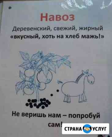 Навоз Гагарин