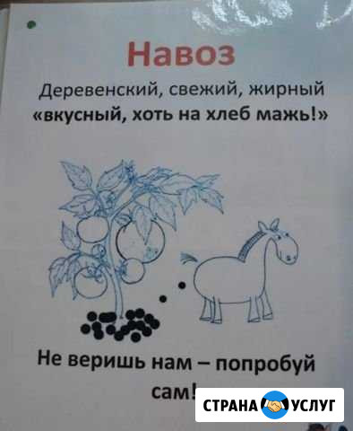 Навоз Гагарин - изображение 1