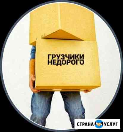 Грузчики Курск