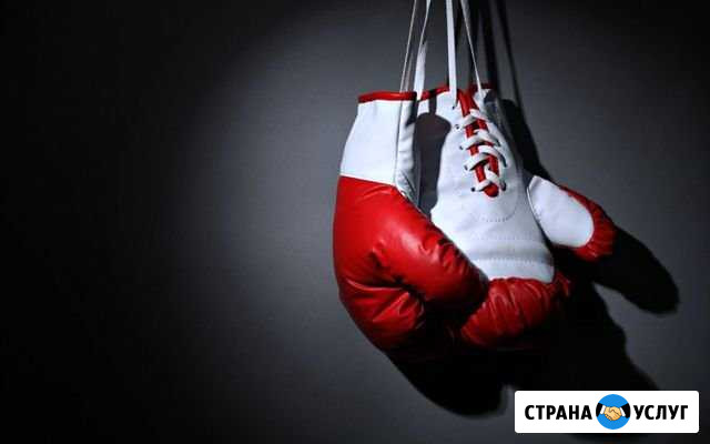 Персональный Тренер по боксу Псков - изображение 1