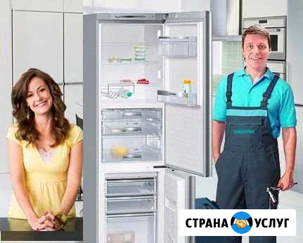 Ремонт холодильников посудомоечных машин Санкт-Петербург - изображение 1