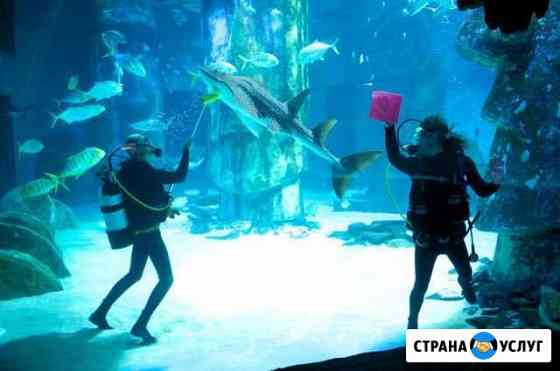 Обслуживание аквариума Новосибирск