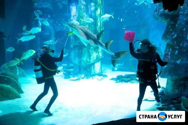 Обслуживание аквариума Новосибирск - изображение 1