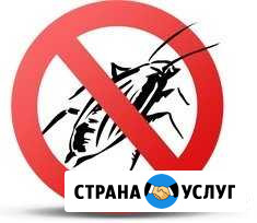 Уничтожение тараканов, клопов Дзержинск - изображение 1