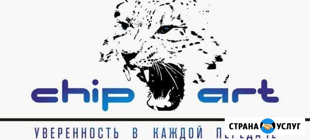 Чип-тюнинг на все марки авто в Чистополе Чистополь - изображение 1