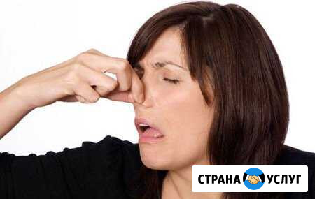 Удаление неприятного запаха Сухой Туман США Москва - изображение 1