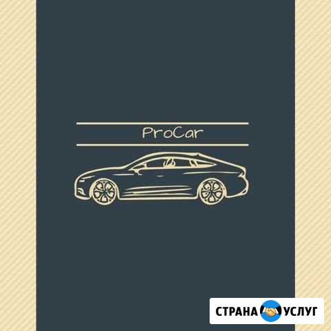 Выездная диагностика / Подбор автомобиля Санкт-Петербург - изображение 1