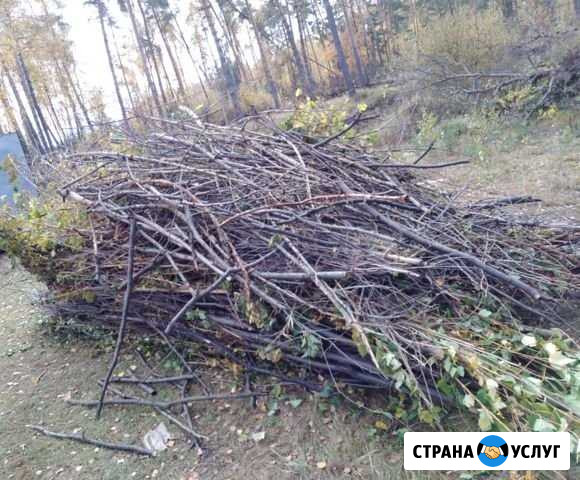 Вывоз мусора по городу Коломна - изображение 1