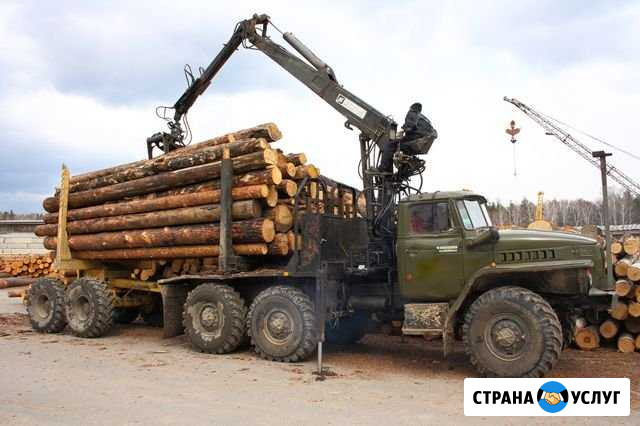 Вывозка леса Грязовец - изображение 1