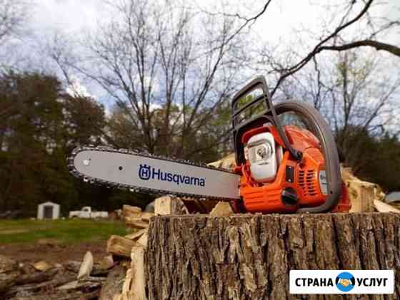 Спил деревьев. Вывоз дров и веток Курск