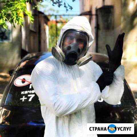 Уничтожение тараканов, клопов, муравьев. Гарантия Самара