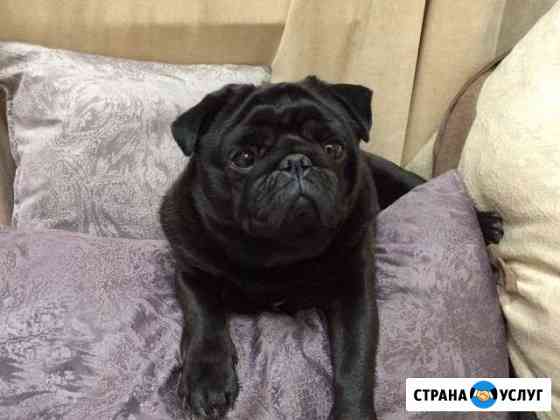 Вязка Сочи