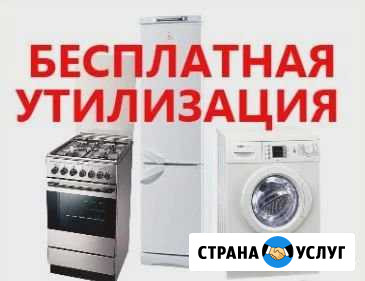 Бесплатный вывоз старой бытовой техники Саранск - изображение 1